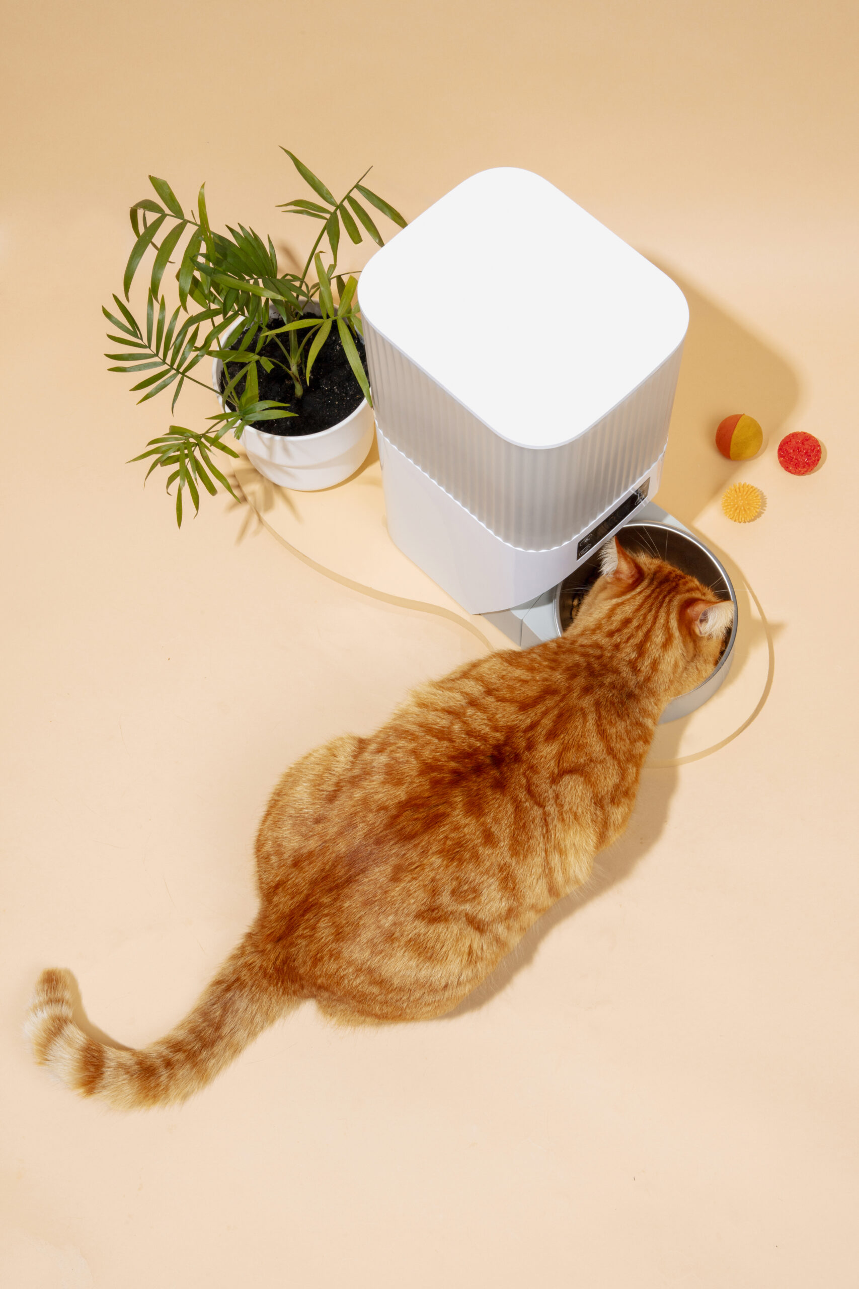 smart-feeder-pets-still-life